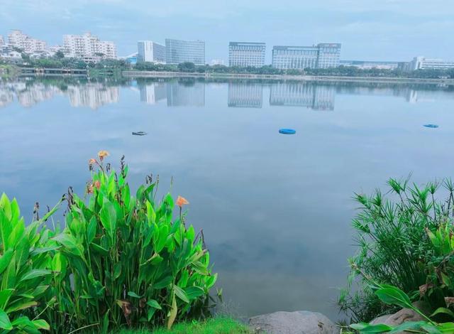 厦门埭辽公园，以埭辽水库改造的生态公园，是一座迷你版的筼筜湖