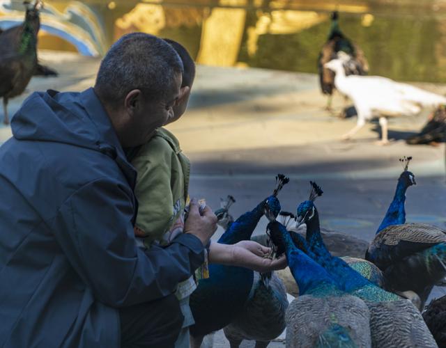云南景洪：最大的综合性生态旅游景点