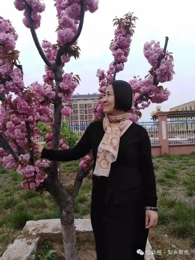 莱阳记忆：初夏登娘娘山