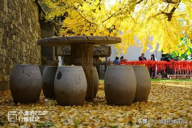 陕西古树，真的“封神”了！第二弹：秋天必看系列，最意外是它？