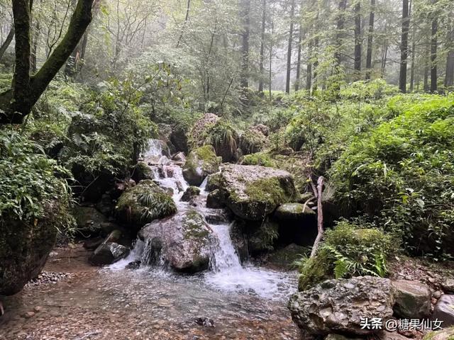 免费推荐!成都0.5h秋日免费打野攻略!摘柿子/板栗/八月瓜/野梨