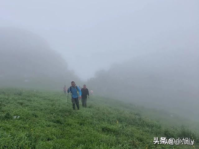 来呀，去白云山看金莲花，辽阳县大黑山风景区境内的白云山
