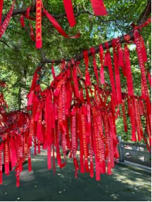 杨柳青古镇“不眠之夜”筹备正酣，精彩内容提前剧透