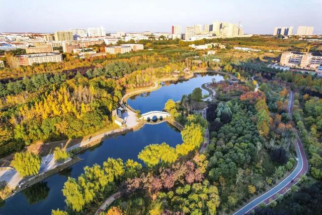 此刻，随手拍洛阳，美景如画！