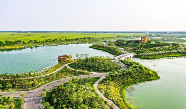 跑游西青！2025西青区半程马拉松住宿+游玩线路福利和攻略来了！