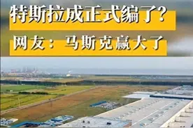 特斯拉入编政府采购，狂揽1.19万亿，中国新能源车企伤透了心？图片