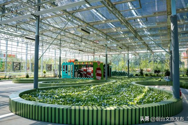 【乐游烟台】新晋遛娃地,烟台这家自然乐园超好玩