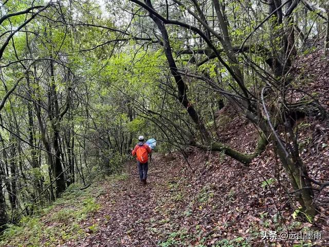 攀登昆明十峰之宜良老爷山，经历密林大雨考验，惊喜交加，难忘