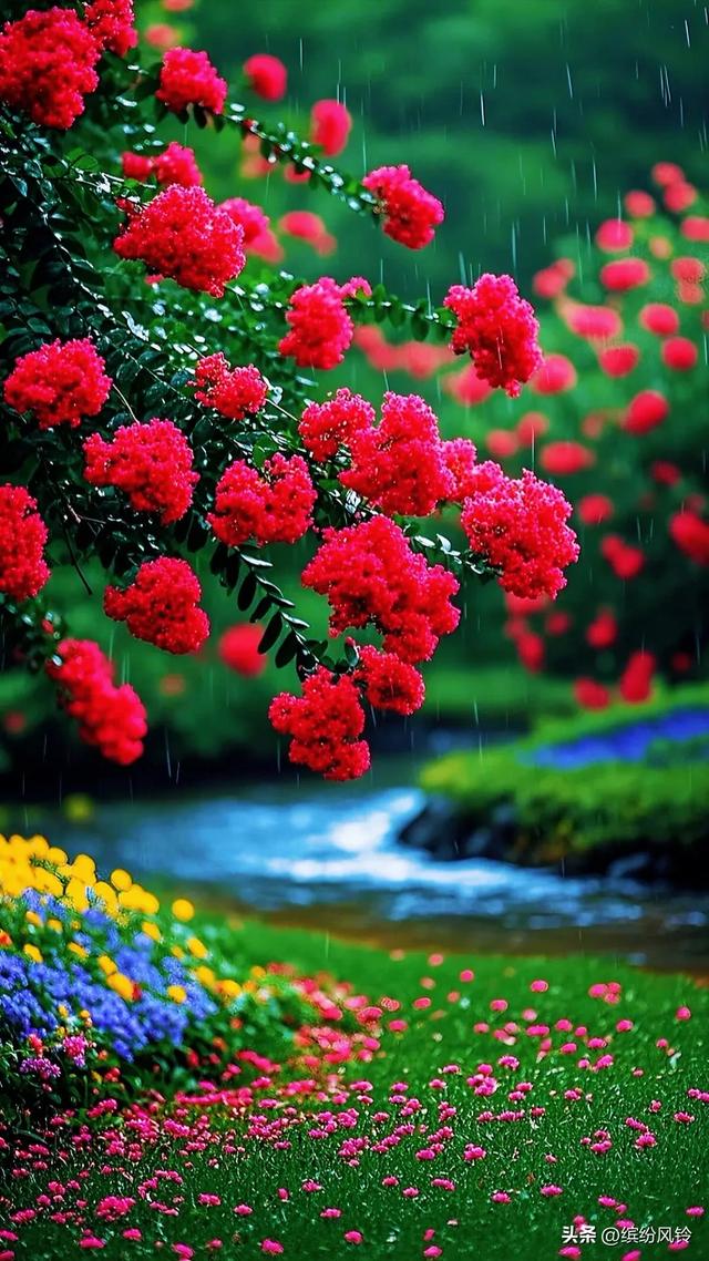 雨落芳华，打湿青石板路