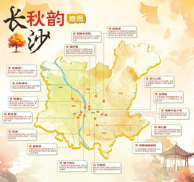 《长沙秋韵地图》发布！这抹限定绚烂，再不去就晚了