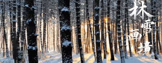 宝子们~66元起+超长有效期！这波优惠，你们喜欢吗