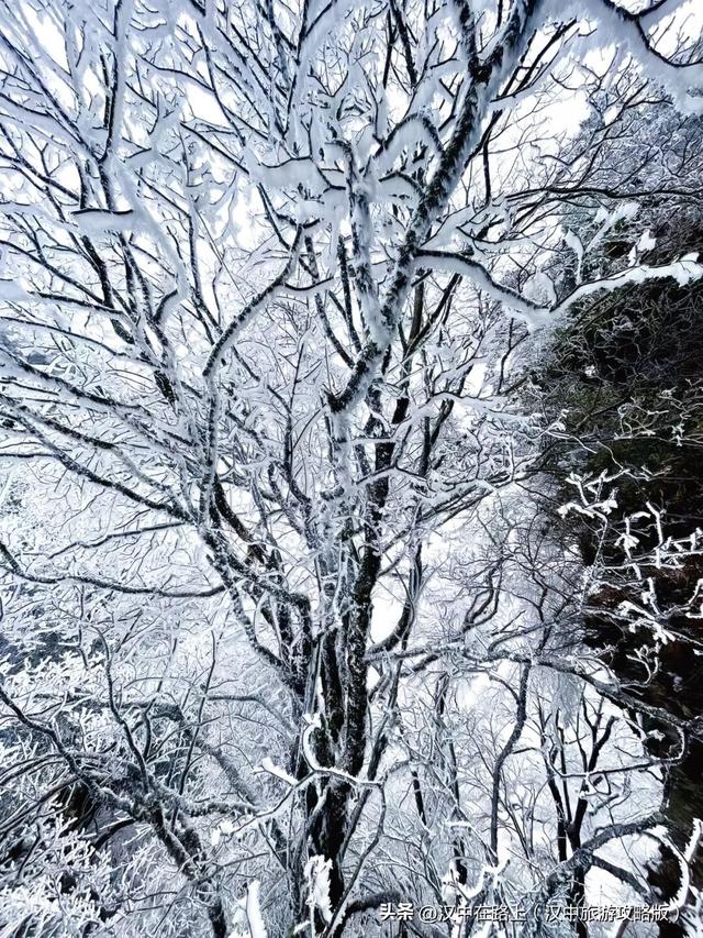 草川子下雪雪雪啦！九鼎山的雪景真的不可错过~