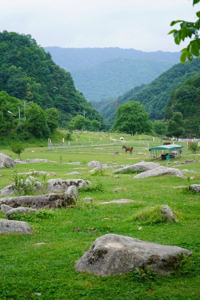 即刻出发！错峰隐居秦岭，解锁完美假期
