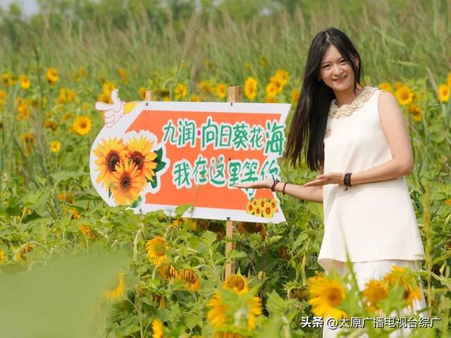 闯入油画世界！万柏林百亩向日葵花海爆红