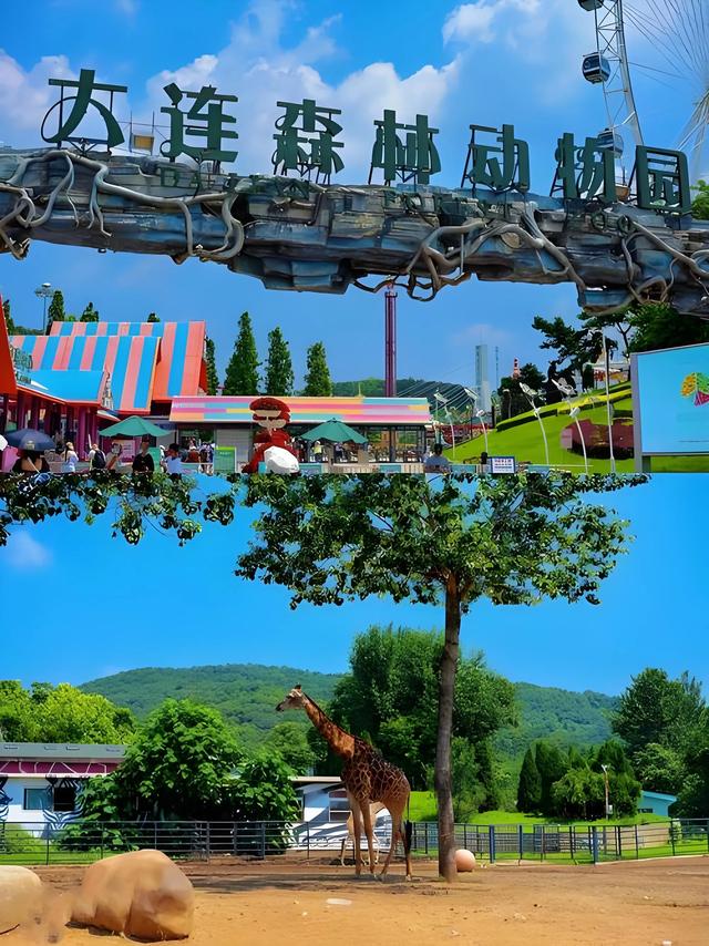 大连一些最值得去的景点（大连三日游攻略见下篇）