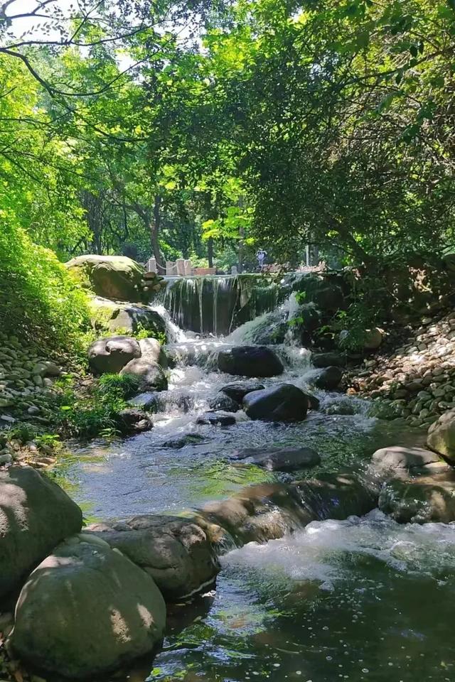 上海解锁“千园之城”，遛娃拍照吸氧圣地，哪个是你最爱？