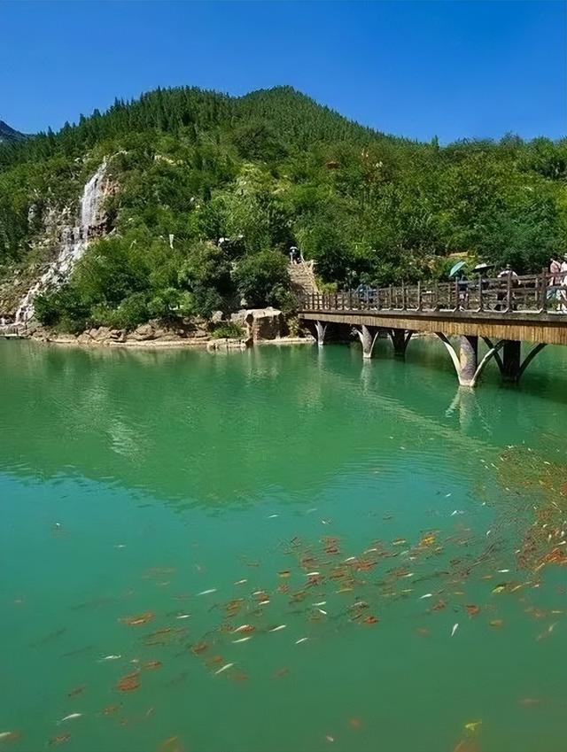山东这座宝藏小城，坐拥国家一级博物馆！范仲淹、李清照都为它停留