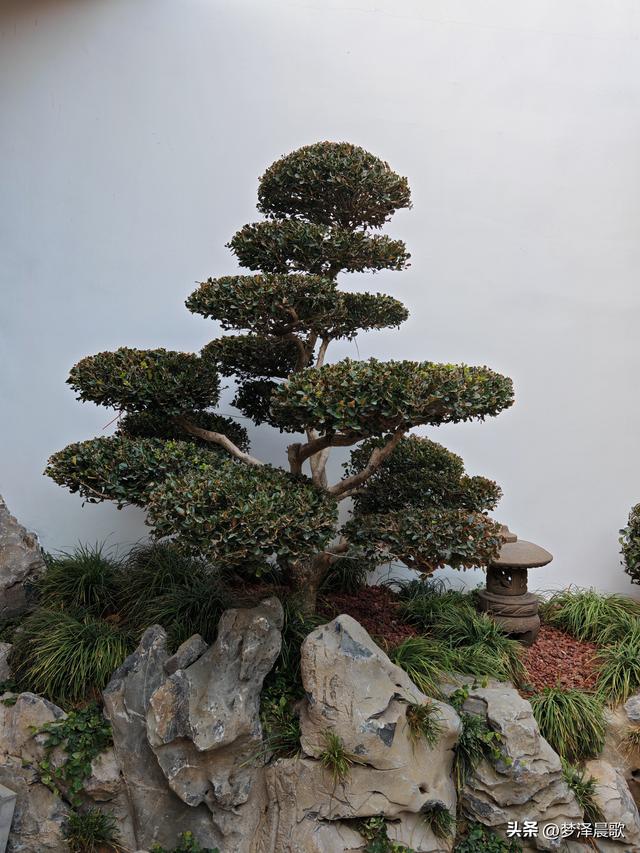 云梦：祥云湾苏式园林庭院美景显现