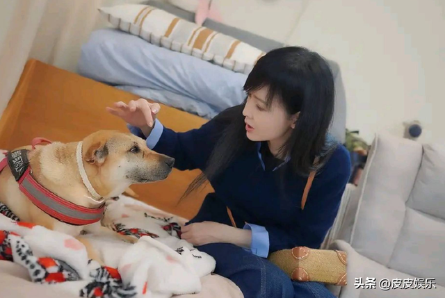 被戴8次绿帽子，3次被捉奸在床，这就是我们“玉女”守卫的爱情