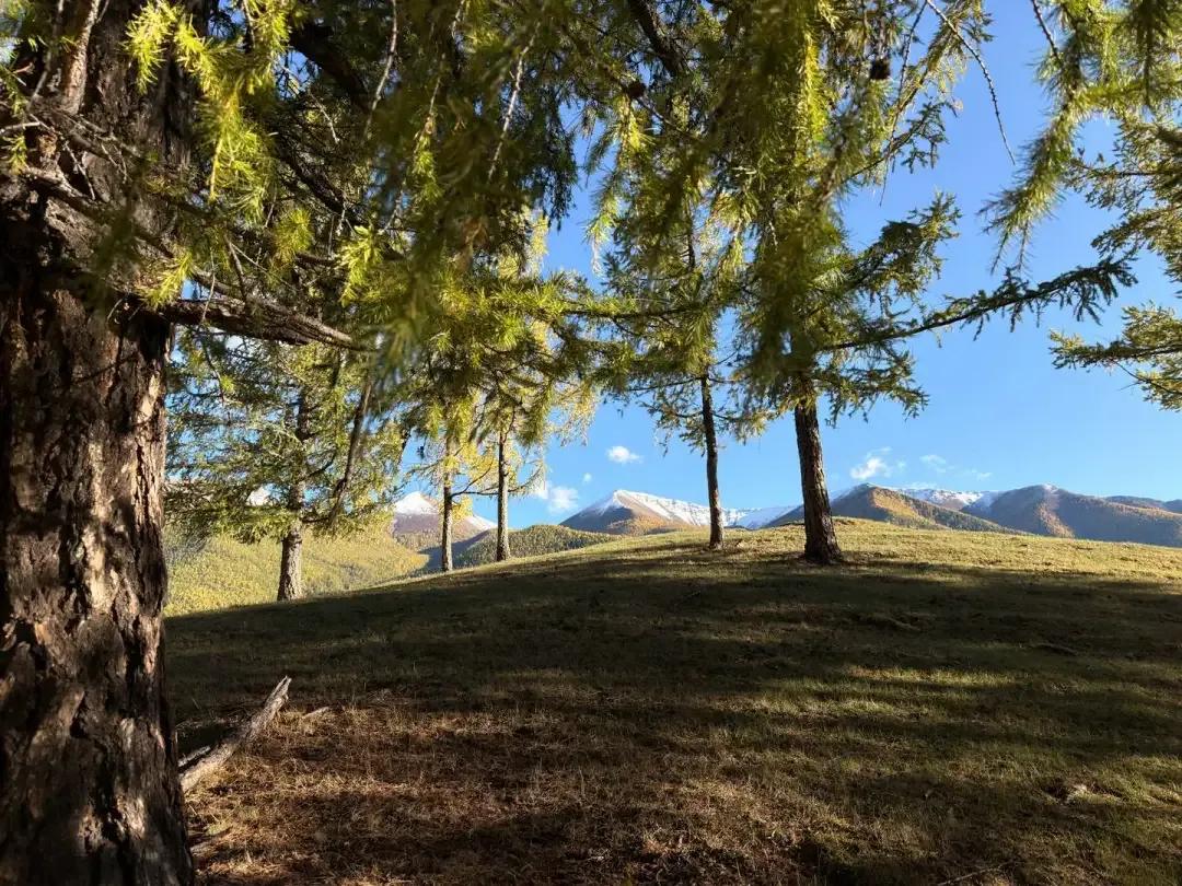 苹果17_iPhone 17 一个月深度体验评测_iPhone 17 屏幕观感和户外可见性分析