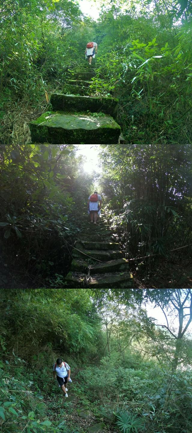 重庆北碚有座龙头山，山上有座400多年的明代老庙，叫“观音堂”