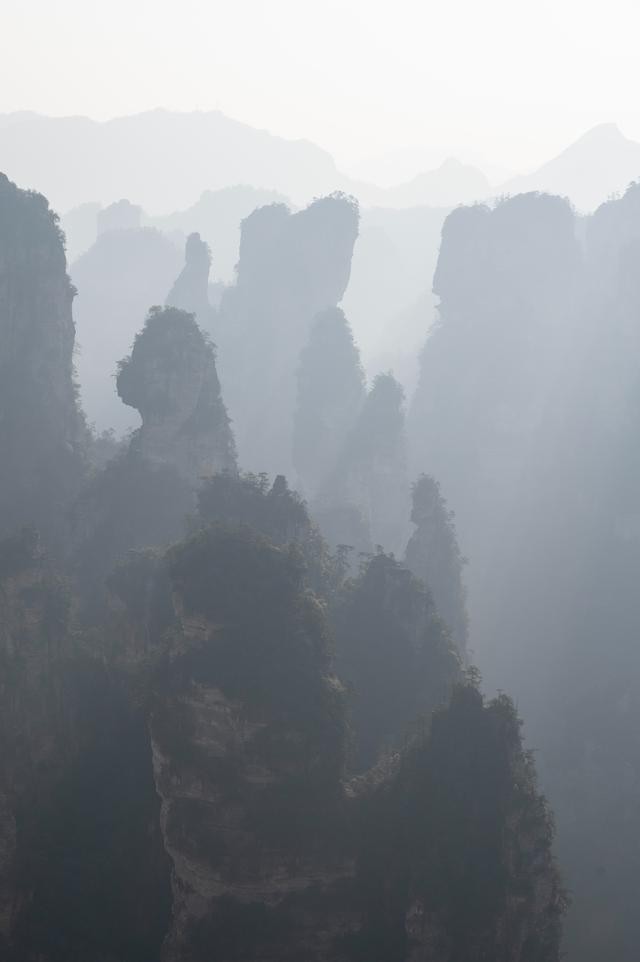 张家界国家森林公园——天地有大美而不言