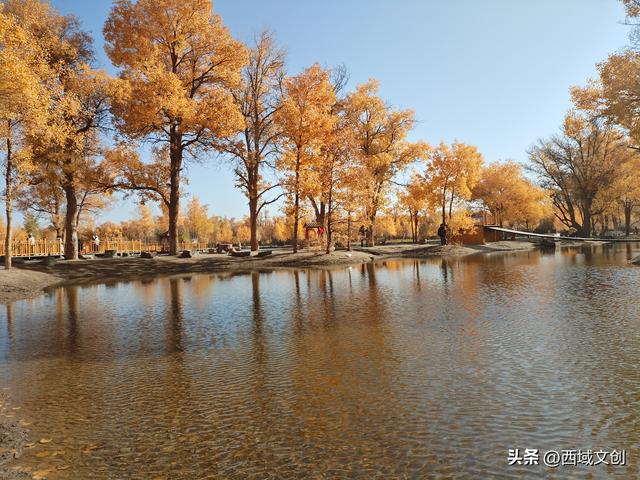 丝路遗迹·寻踪河西｜张耀宇：金塔胡杨是沙漠写给秋天的密语