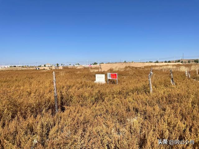 2025年国庆包头市达茂联合旗境内访古记