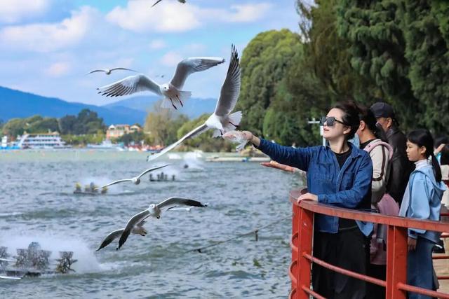 图说中国|赴一场初冬之约，在暖阳里收藏美好时光