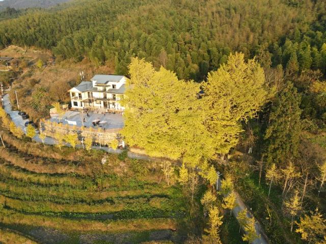 邵阳人藏不住的秋冬快乐!这些“金色浪漫”,@所有人来约!