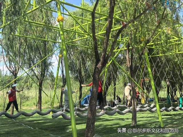@你，鄂尔多斯植物园全攻略！暑期宝藏路线图！