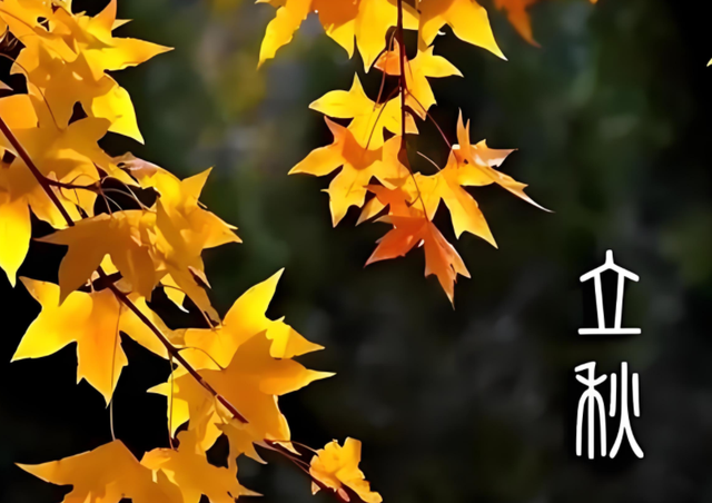 今日立秋，60年一遇，既是“黄金秋”，又是“正秋”，有何预兆？