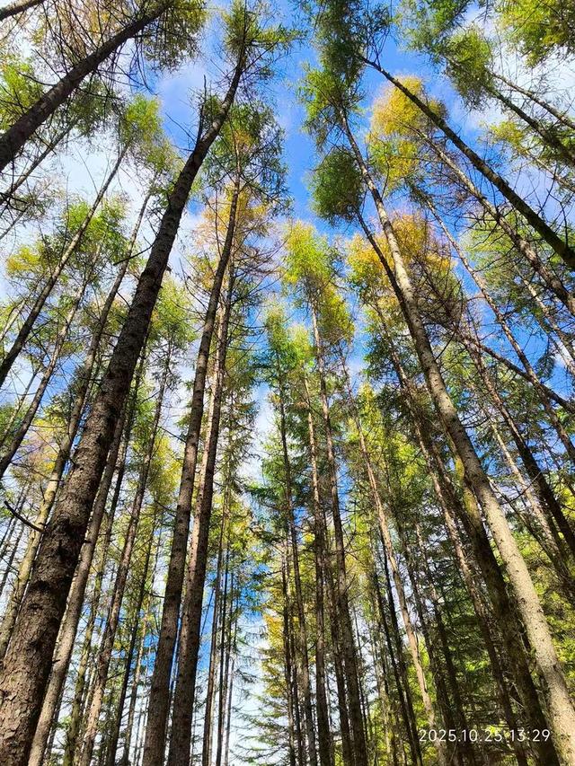 排队游览光雾山