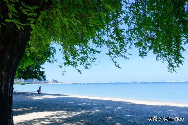 三亚五天四晚旅行攻略，主打看海和捡贝壳，实地游玩总结可做参考