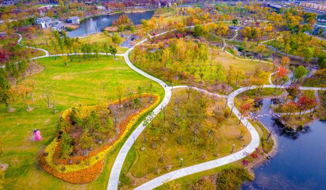 “太”好的地方,繁花开满“仓”!