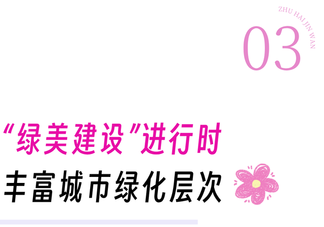 美翻！金湾「紫色花海」，开了！