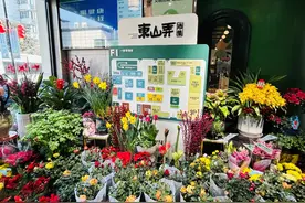 送福迎新喜事多！东山弄与你共赴一场烟火气满满的年货市集图片