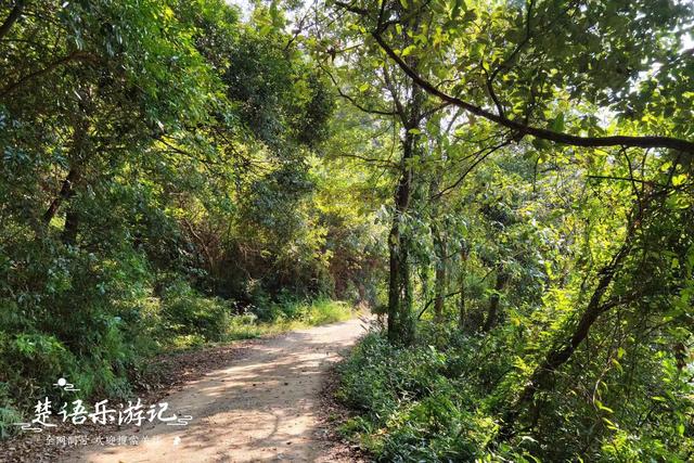 浙江宁波的山海风景线，山岙里藏着多个古村和网红景点，值得游玩