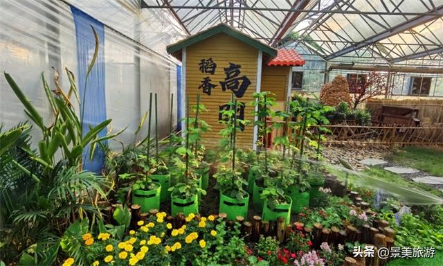 三星增辉南山月，三马拉动秋冬游，三水南山上演不落幕的文旅盛宴