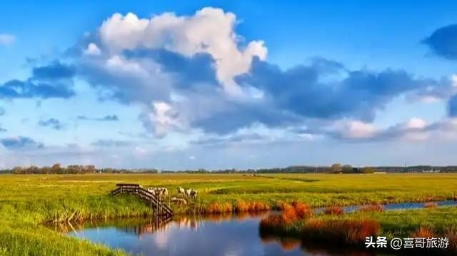 松原莲花源：塞北江南的千亩莲海与湿地秘境
