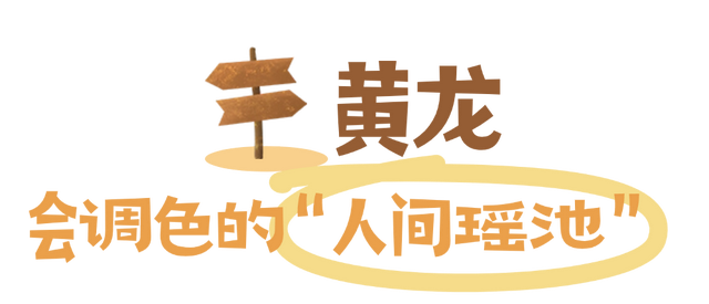 “捡”秋，本宫的眼睛想看彩林了！