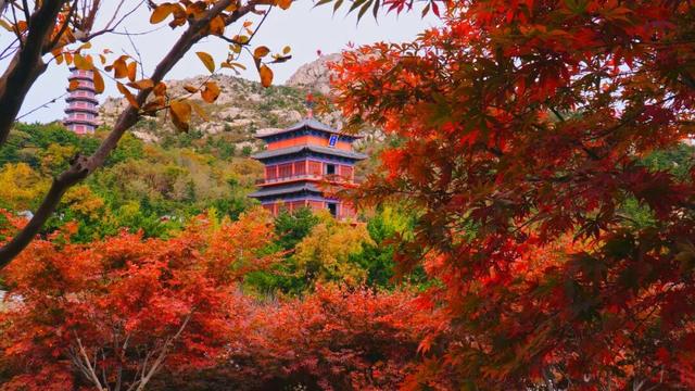 4000人沉浸式畅游，惊艳了荣成这里的啥？