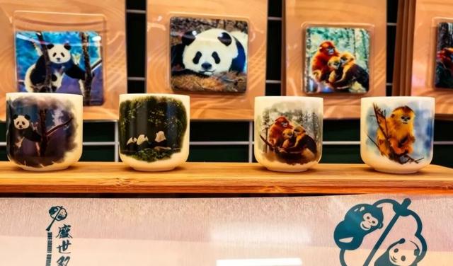 陇南好“趣”处！宜慢游，能遛娃