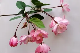 风既有温度，也有情绪，你有感受过吗？图片