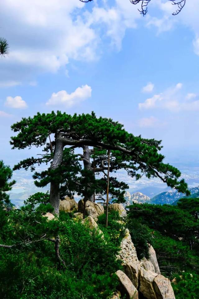 泰山之巅：风云变幻里的华夏印记