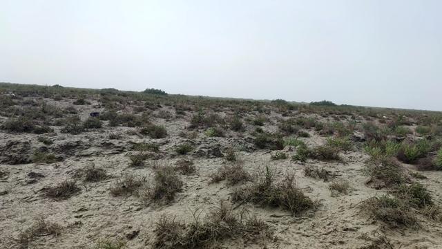 若羌待了4天有些无聊，不过也有些有意思的地方