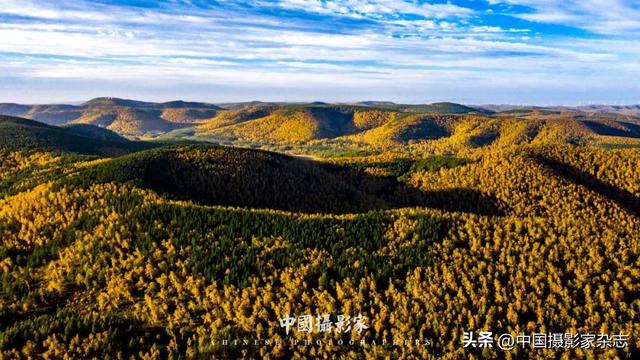 林树国｜塞罕坝林海之歌
