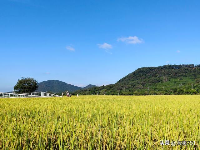 从化艾米稻香小镇
