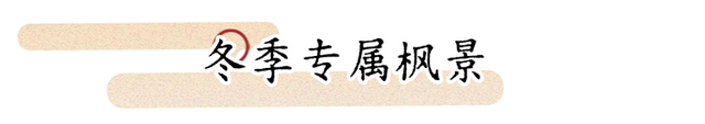 长安十二时辰主题街区冬季游玩攻略来啦
