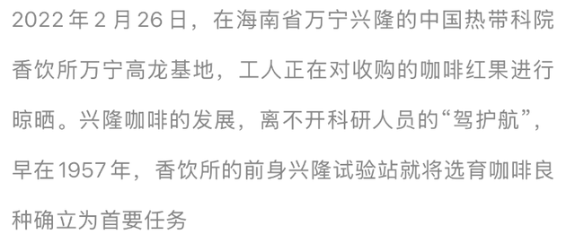 在海南，喝咖啡也是一种仪式感